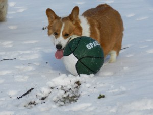 Jan, Feb and March 035